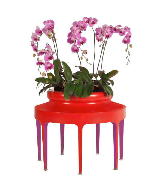 JARCHIDEE Planter orchidee jardiniere